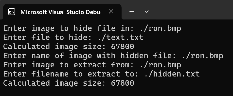 Steganography Program image
